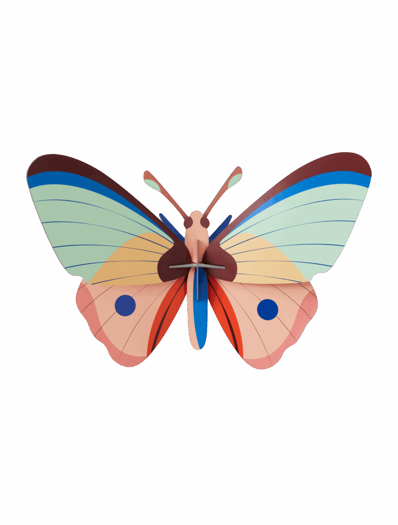 Butterfly on blank background